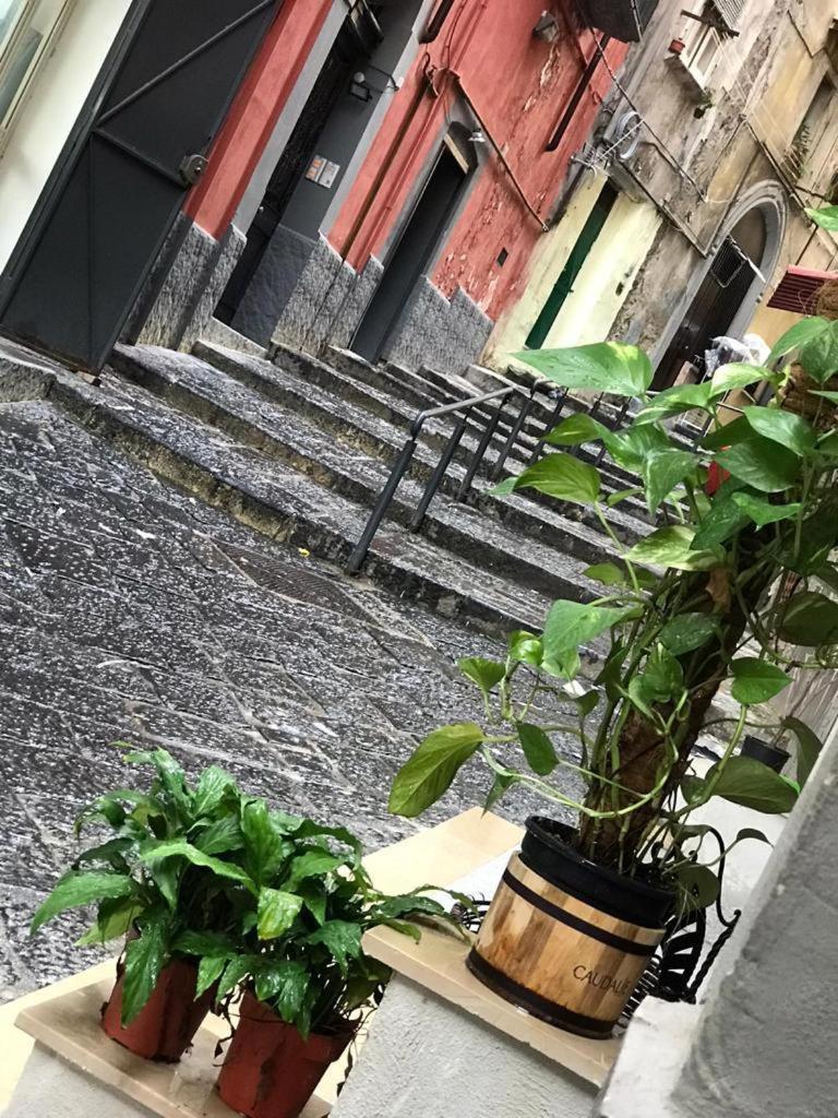 Casa Mari' Centro Storico Vicino Hotel Caracciolo نابولي المظهر الخارجي الصورة